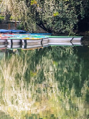 [人間四月]＋芳未盡