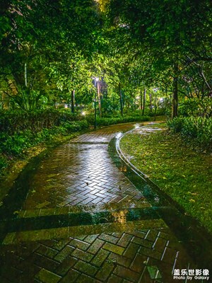 小區(qū)的夜10點(diǎn)半雨后