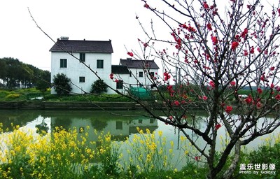 江南鄉(xiāng)村行