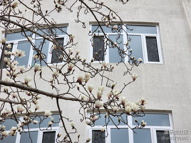 春花美景三月天