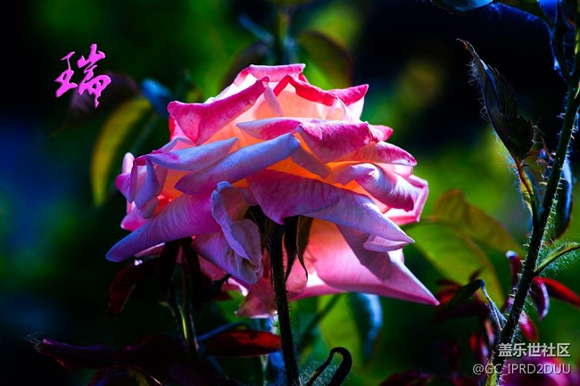 好多人更新 為什么急？