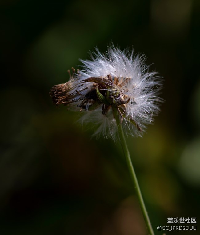 好多人更新 為什么急？