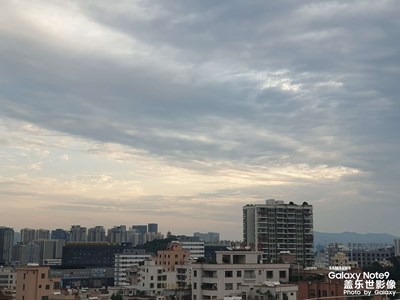 清明時節(jié)家家雨，青草池塘摘桑葚