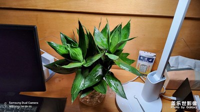 s8+拍照效果不錯