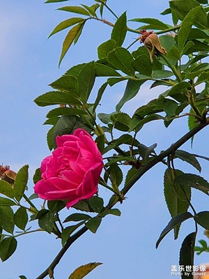 清明踏青隨拍