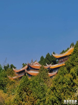 春意盎然，踏春中