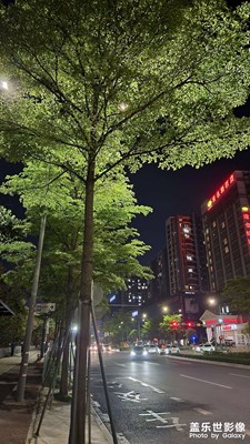 夜