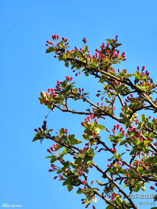 最美人間四月天 可惜哪也去不了 。