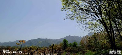 秦嶺