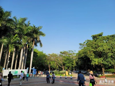 清明節(jié)假期，深圳沙河公園跑道隨拍