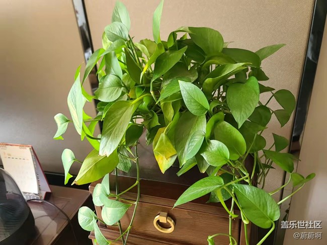 【居家生活】居家的豐富生活 【居家生活】居家的豐富生活