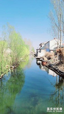 淀邊春色