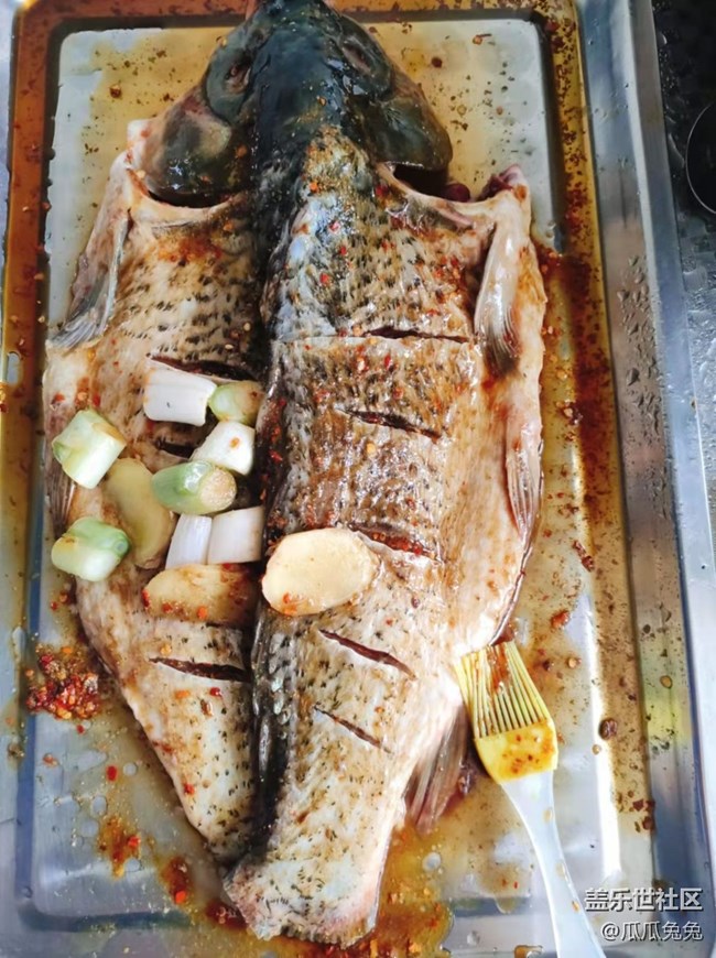 [居家生活]+家庭版簡(jiǎn)易烤魚(yú)