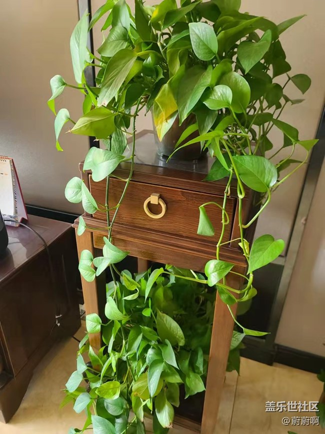 【居家生活】居家的豐富生活 【居家生活】居家的豐富生活