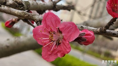 春暖花開(kāi)