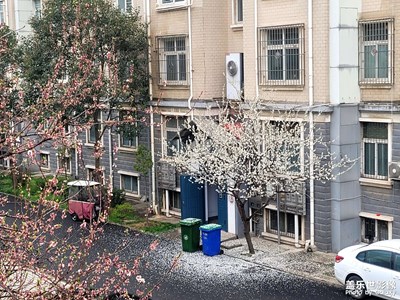 好看的花