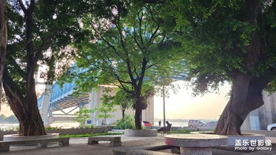 每日照片分享