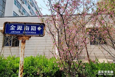 隨手拍