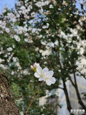 使用體驗
