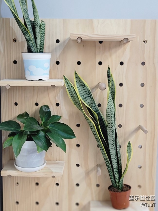 【居家生活】+悠閑