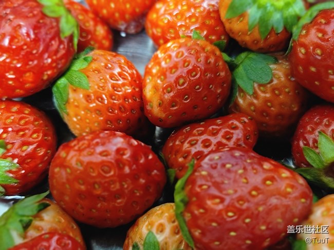 【居家生活】+悠閑