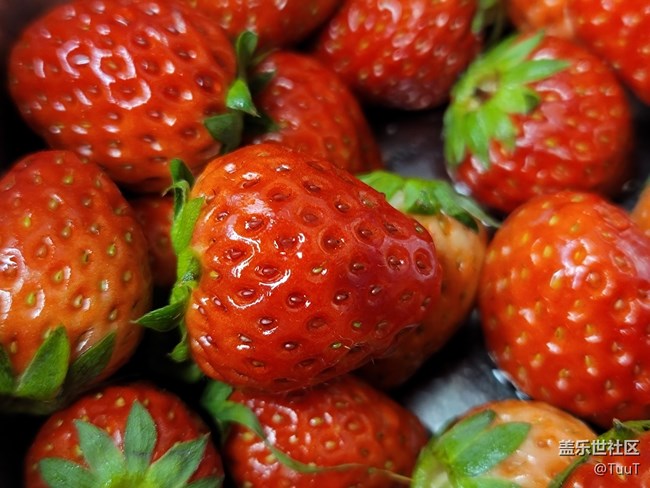 【居家生活】+悠閑