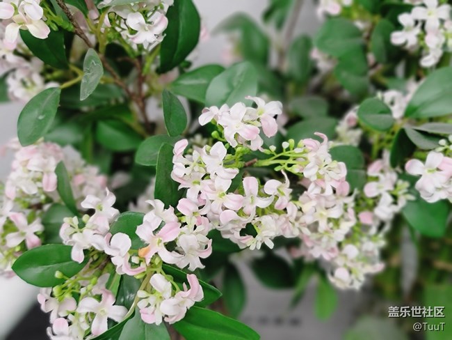 【居家生活】+悠閑