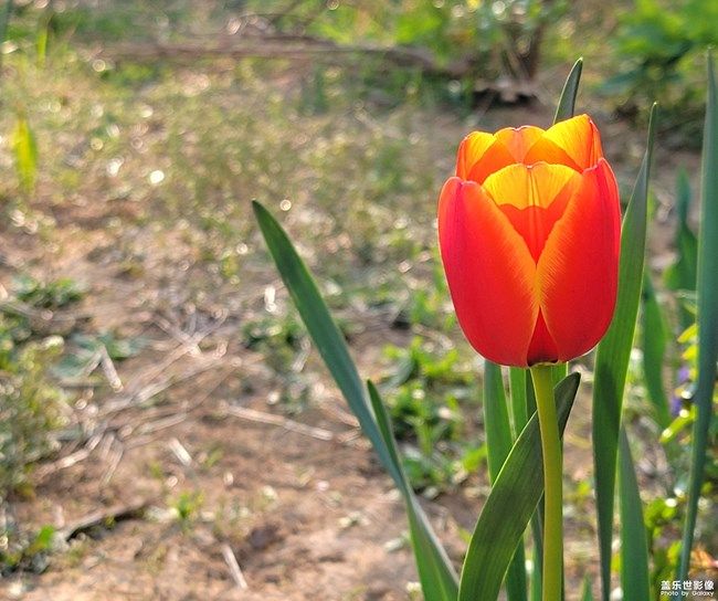 《每周星鮮事》 第100期:Z尊享匯請(qǐng)你喝咖啡啦！