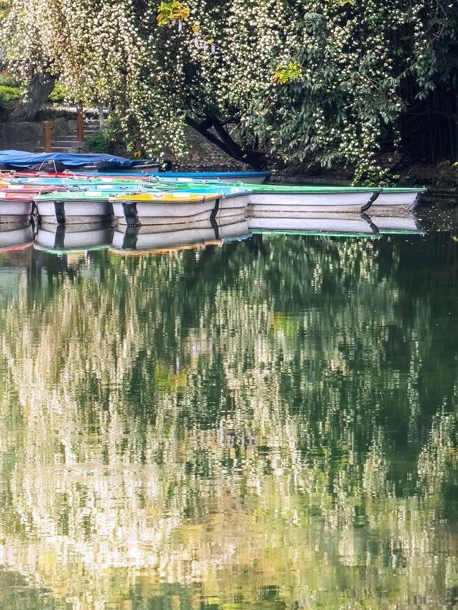 《每周星鮮事》 第100期:Z尊享匯請(qǐng)你喝咖啡啦！