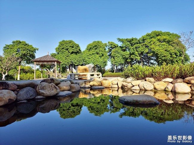 《每周星鮮事》 第100期:Z尊享匯請(qǐng)你喝咖啡啦！