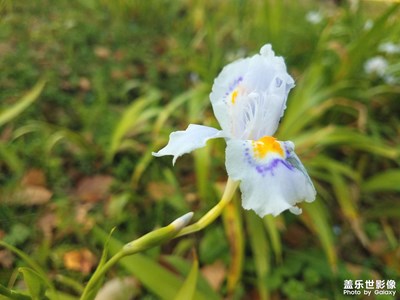 【春日幸事】+春暖花開(kāi)