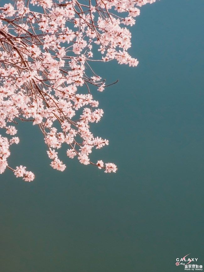 《每周星鮮事》 第100期:Z尊享匯請(qǐng)你喝咖啡啦！