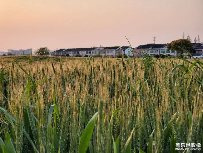 《每周星鮮事》 第100期:Z尊享匯請(qǐng)你喝咖啡啦！