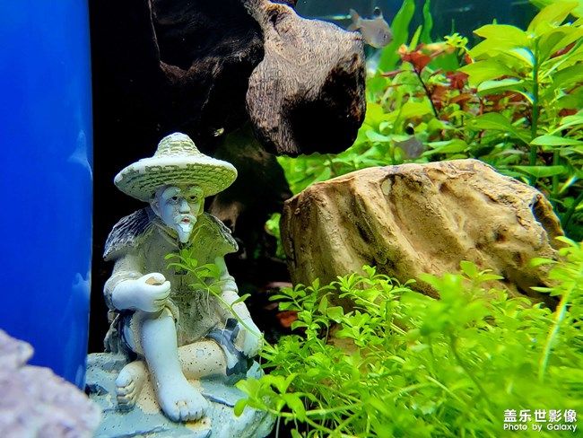 《每周星鮮事》 第100期:Z尊享匯請(qǐng)你喝咖啡啦！