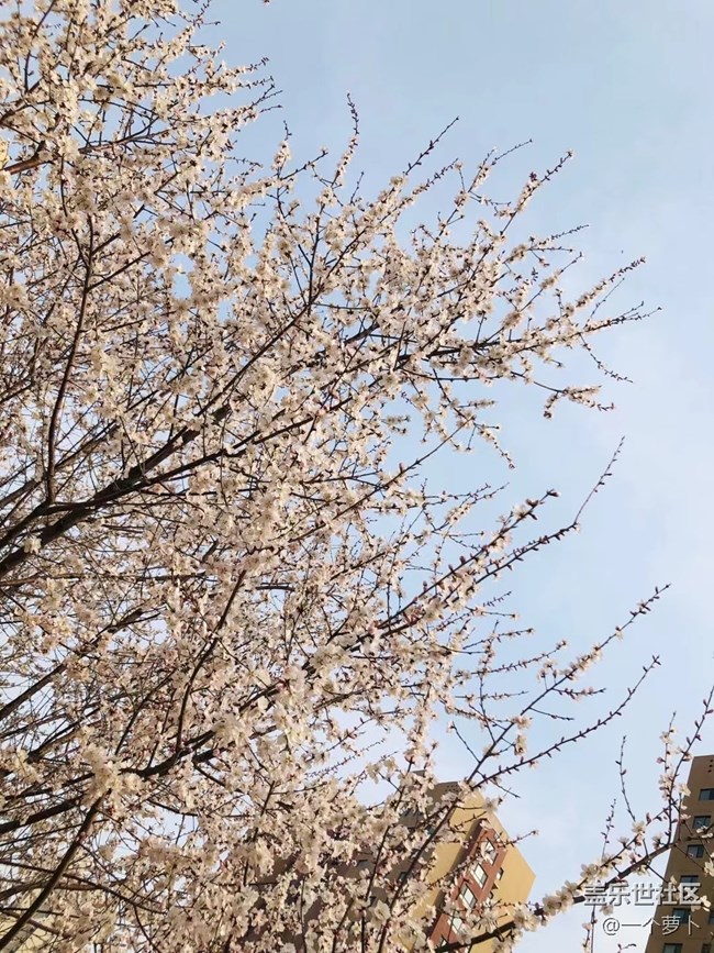 【春分時節(jié)】+ 錯過了桃花時節(jié)