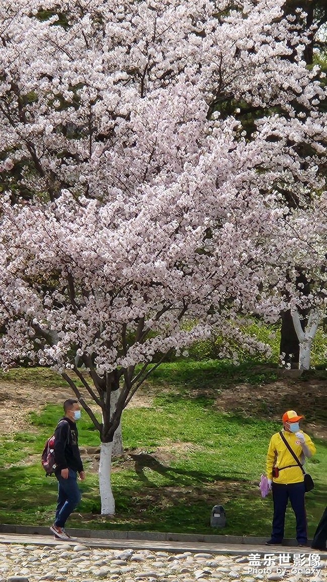 《每周星鮮事》 第100期:Z尊享匯請(qǐng)你喝咖啡啦！
