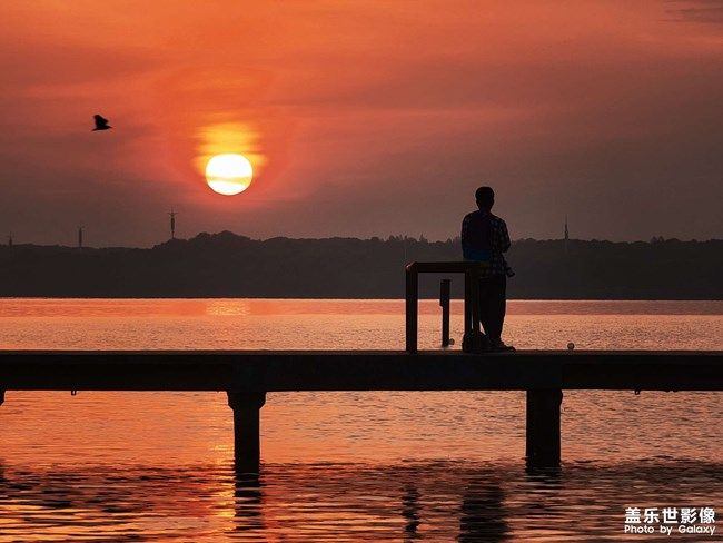 《每周星鮮事》 第100期:Z尊享匯請(qǐng)你喝咖啡啦！