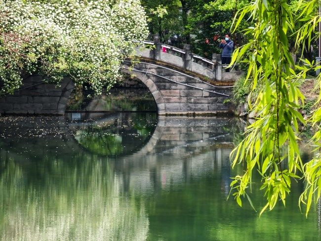 《每周星鮮事》 第100期:Z尊享匯請(qǐng)你喝咖啡啦！