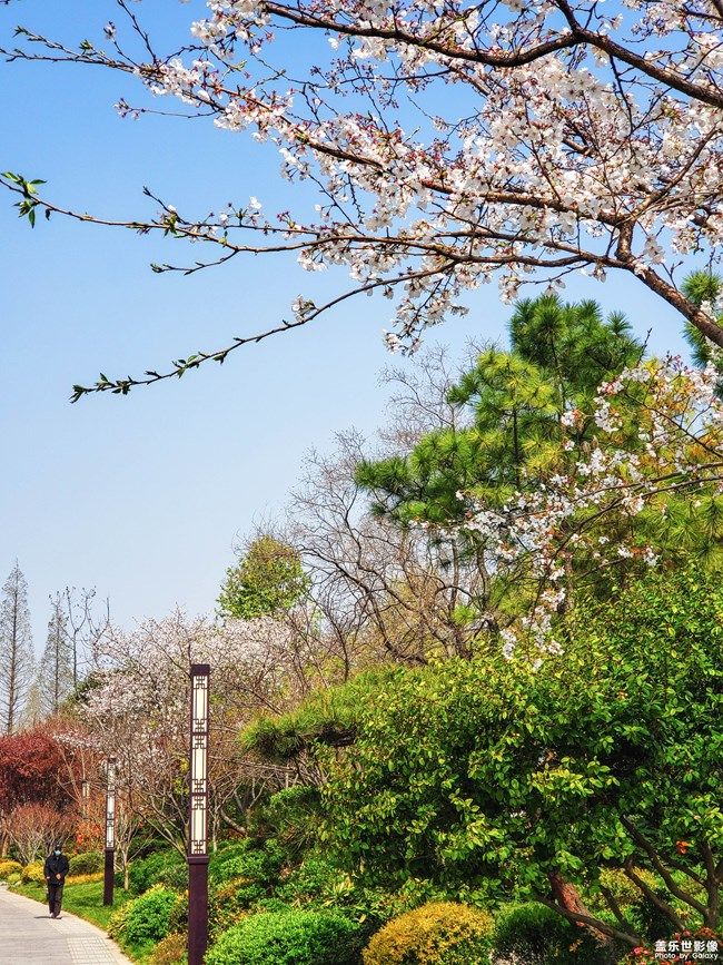 《每周星鮮事》 第100期:Z尊享匯請(qǐng)你喝咖啡啦！