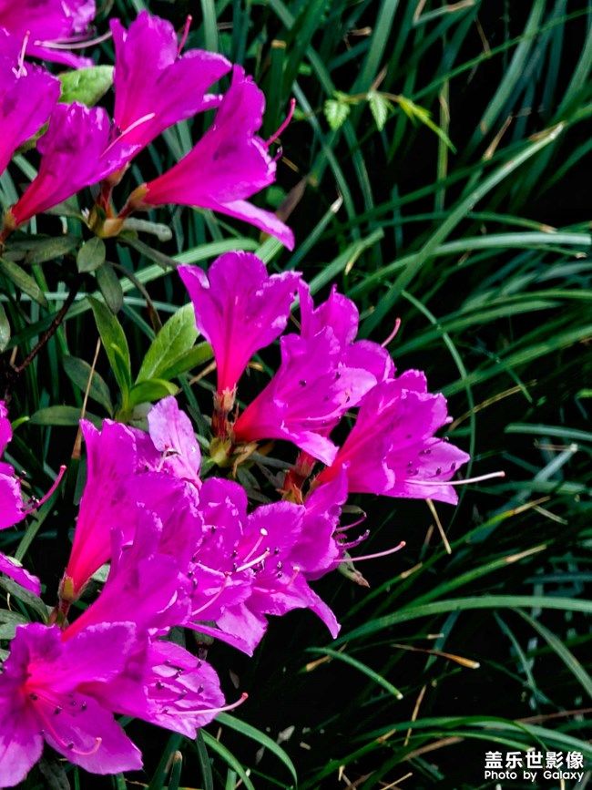 《每周星鮮事》 第100期:Z尊享匯請(qǐng)你喝咖啡啦！