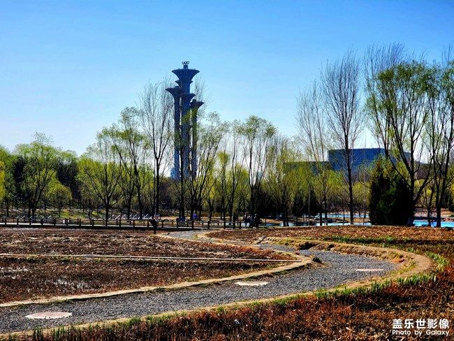 《每周星鮮事》 第100期:Z尊享匯請(qǐng)你喝咖啡啦！