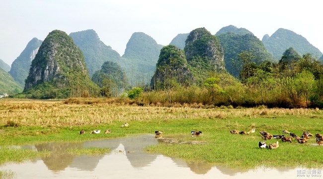 《每周星鮮事》 第100期:Z尊享匯請(qǐng)你喝咖啡啦！