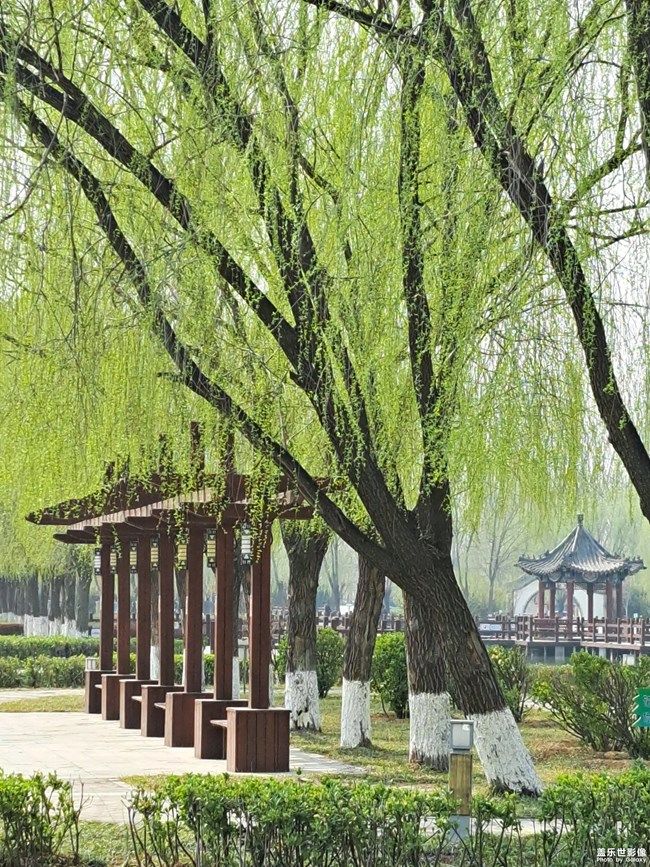 《每周星鮮事》 第100期:Z尊享匯請(qǐng)你喝咖啡啦！