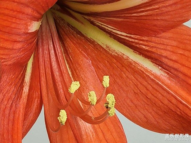 《每周星鮮事》 第100期:Z尊享匯請(qǐng)你喝咖啡啦！