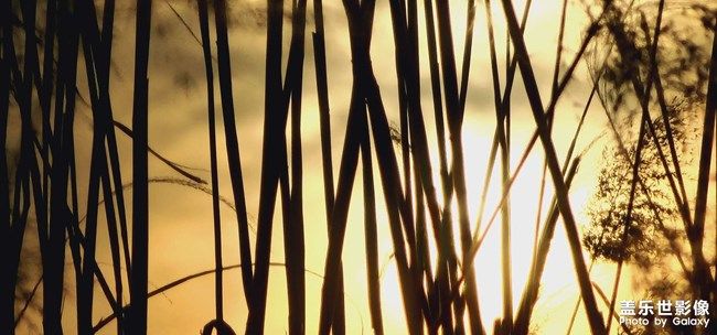 《每周星鮮事》 第100期:Z尊享匯請(qǐng)你喝咖啡啦！