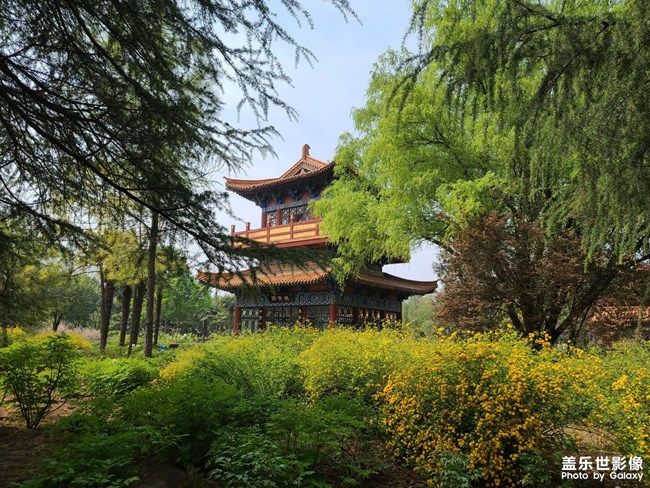 《每周星鮮事》 第100期:Z尊享匯請(qǐng)你喝咖啡啦！