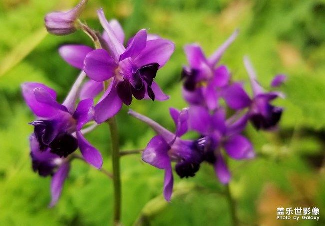 《每周星鮮事》 第100期:Z尊享匯請(qǐng)你喝咖啡啦！