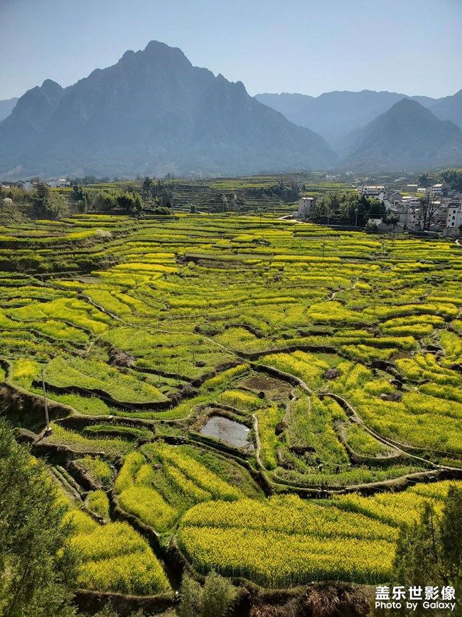 《每周星鮮事》 第100期:Z尊享匯請(qǐng)你喝咖啡啦！