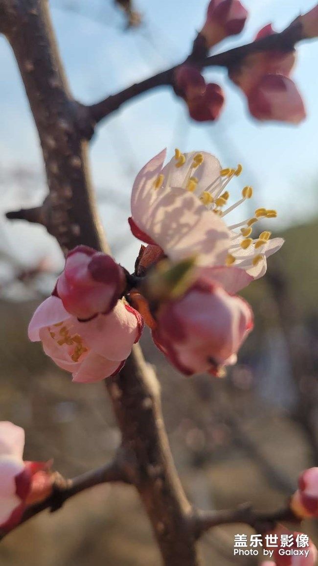 《每周星鮮事》 第100期:Z尊享匯請(qǐng)你喝咖啡啦！