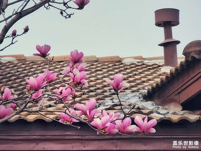 《每周星鮮事》 第100期:Z尊享匯請(qǐng)你喝咖啡啦！